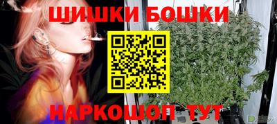 дурь Камышлов