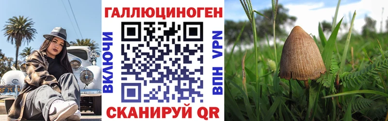 Галлюциногенные грибы Psilocybine cubensis Старая Русса