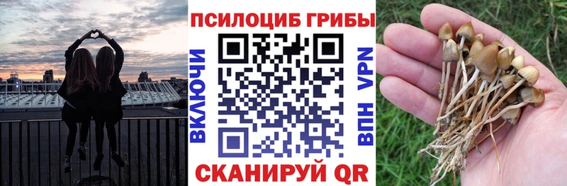 Псилоцибиновые грибы мухоморы  наркота  Старая Русса 