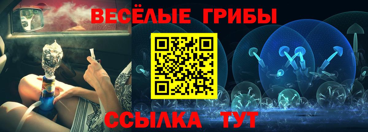 Галлюциногенные грибы MAGIC MUSHROOMS Старая Русса