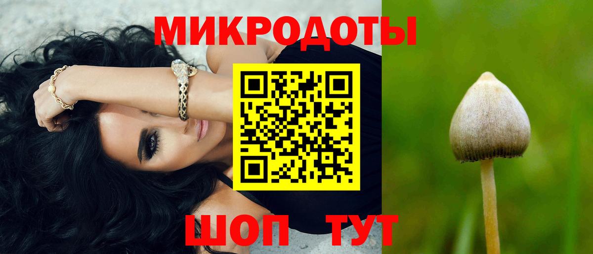 Псилоцибиновые грибы Cubensis  Вход с VPN  Псилоцибиновые грибы мухоморы  Старая Русса 